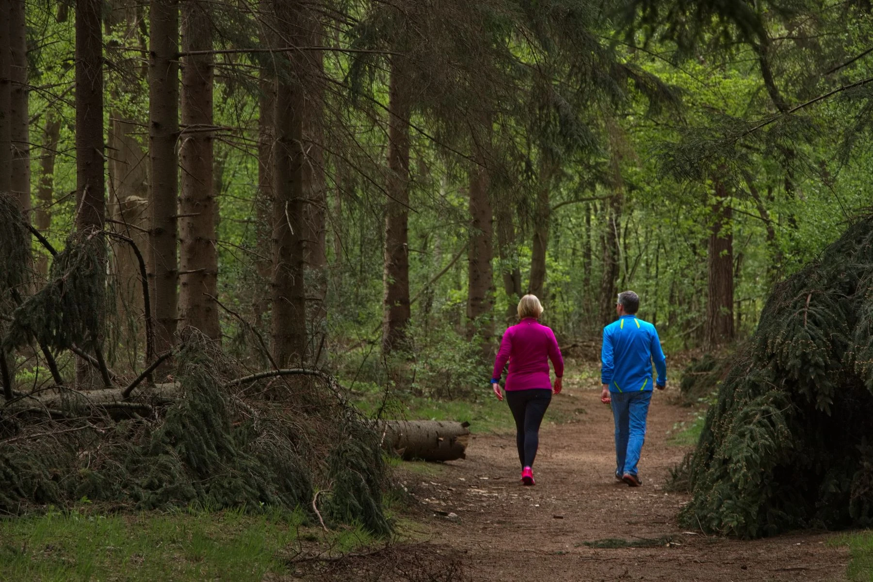 Two walkers sharing a wooded trail at an easy pace